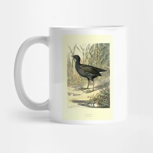 Moorhen Mug